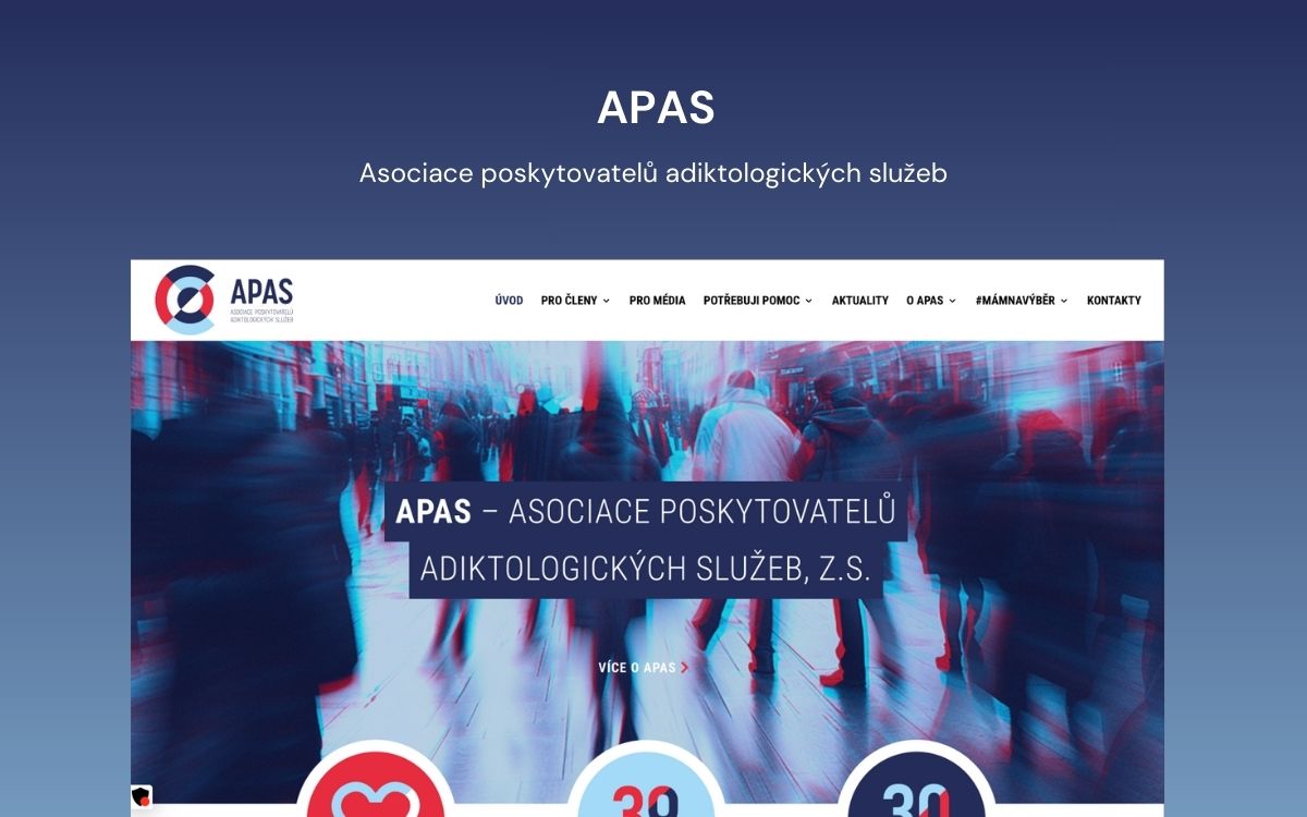 Projekt APAS